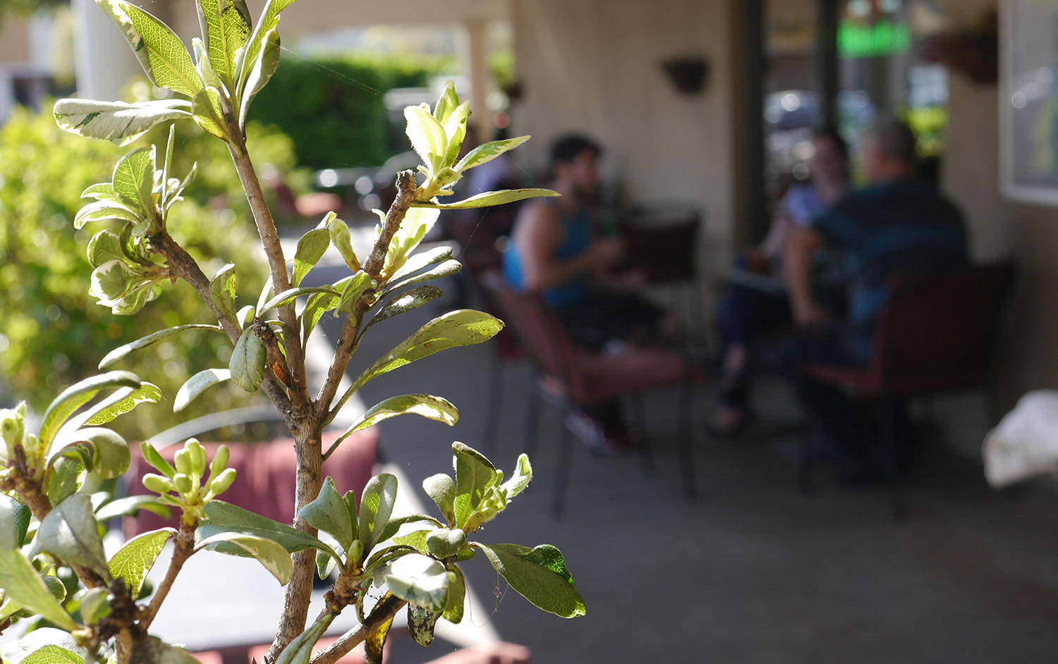 People talking at tables on the sunny patio
